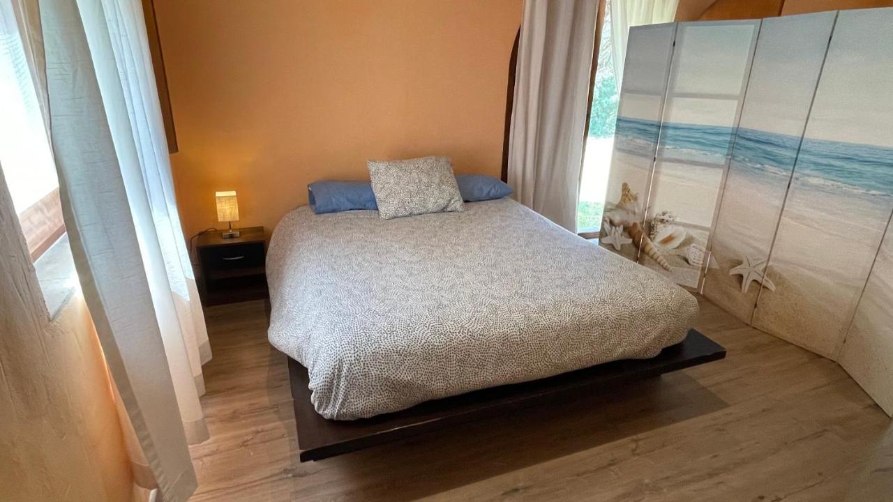 Amazing Typical House With Swimming Pool Villa Сан Фелиу де Гиксолс Екстериор снимка
